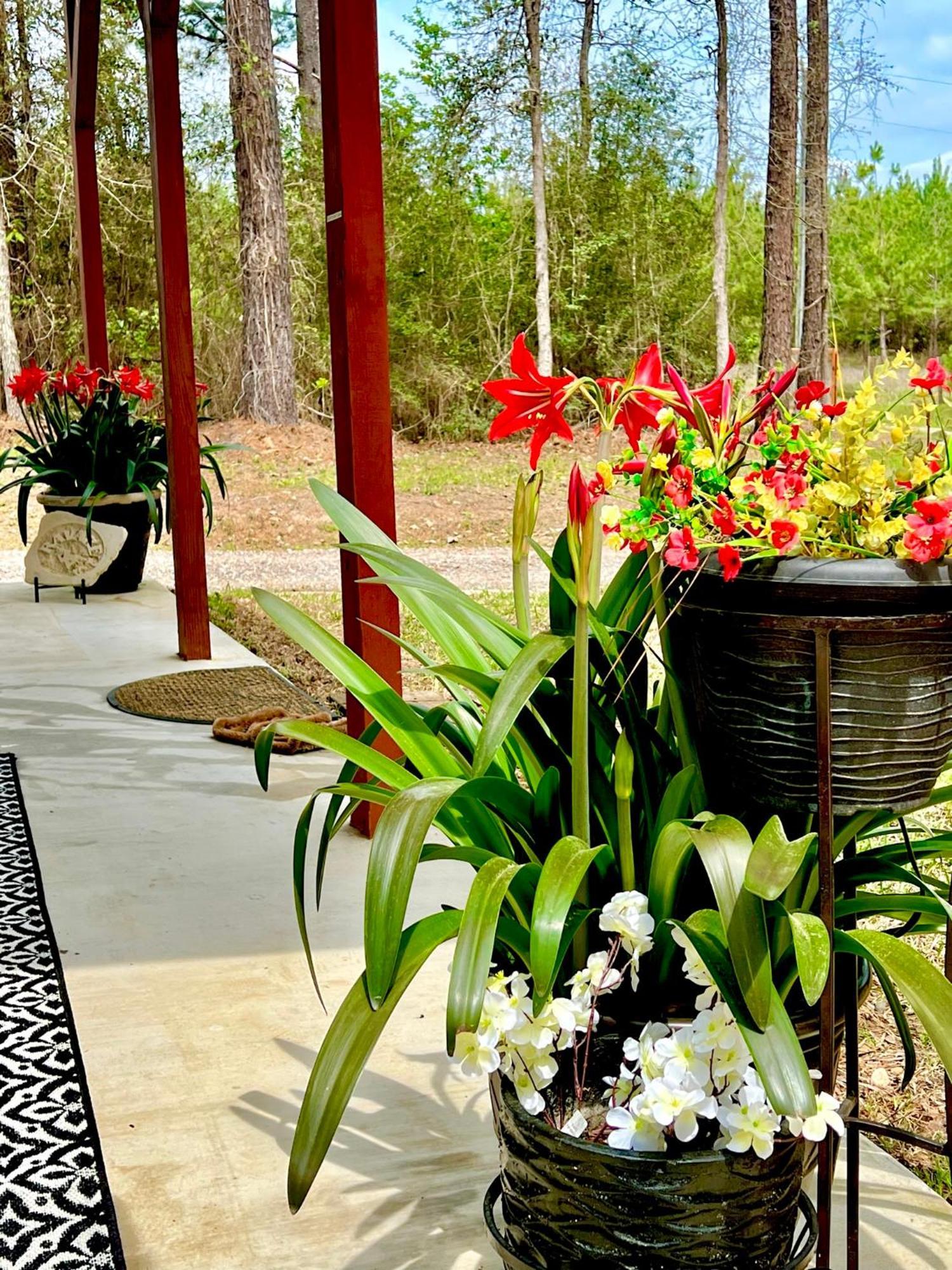 A Tranquil Retreat Loaded With Ambiance! Sleeps 10 Villa Platt Luaran gambar